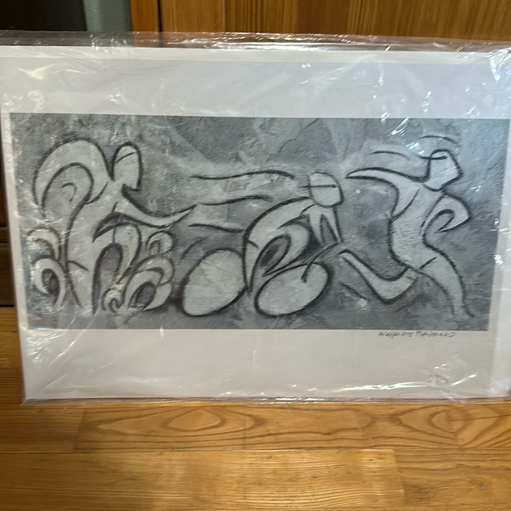 Triathlon Art By Alejandro Maldonado MSRP $95 19.5x13